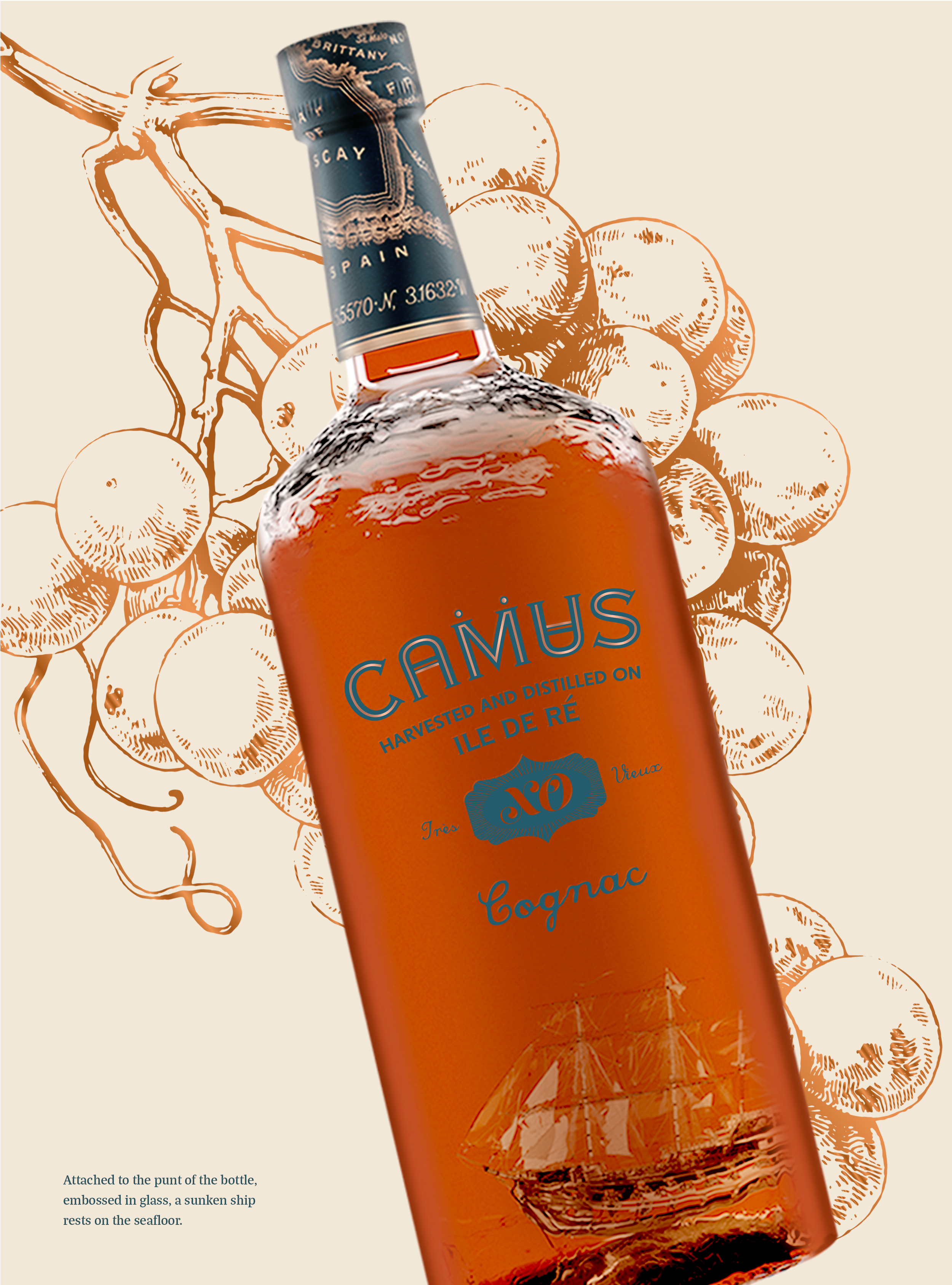 Camus bottle package redesign - bottle punt